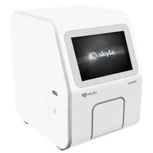 Morphological Analyzer